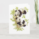 Zoek naar de panda draagt kaarten Panda's
