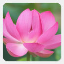 Zoek naar lotusbloem stickers Botanisch
