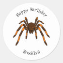 Zoek naar spinachtigen stickers Tarantula