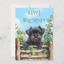 Zoek naar affenpinscher kaarten Schattig