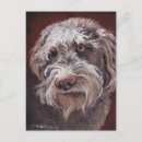 Zoek naar labradoodle briefkaarten Labradoedel