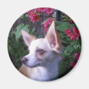 Zoek naar voeg foto toe magneten Elk persoon