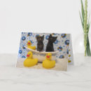 Zoek naar schildpad katten kaarten Huisdier