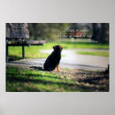 Zoek naar zen kunst Citaten