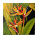 Zoek naar paradijsvogel tegels Bladeren