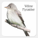 Zoek naar vliegenvanger stickers Vogel