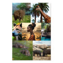 Zoek naar hyena posters Wild