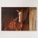 Zoek naar bruine paarden puzzels Elk persoon