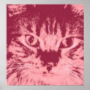 Zoek naar calico kat posters Tabby