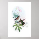 Zoek naar vogels posters Voor hem/haar