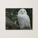 Zoek naar uilen puzzels Dieren