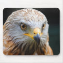 Zoek naar gier muismatten Vogel
