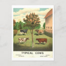 Zoek naar jersey koe posters Vee
