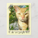 Zoek naar poezen posters Katten