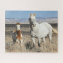 Zoek naar veulen puzzels Wild paard