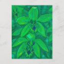 Zoek naar orchidee briefkaarten Tropische bloem