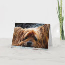 Zoek naar yorkshire kaarten Schattig