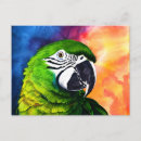 Zoek naar vintage vogels briefkaarten Kleurrijk
