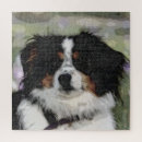 Zoek naar australische herder puzzels Huisdier