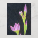 Zoek naar iris tekening posters Voor iedereen