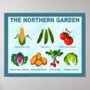 Zoek naar grappige aardappel posters Elk persoon