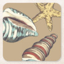 Zoek naar shell onderzetters Zee