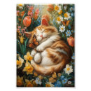 Zoek naar katje posters Voor huisdieren