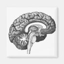 Zoek naar neurologie magneten Arts