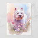 Zoek naar westie briefkaarten Gezelschapsdieren
