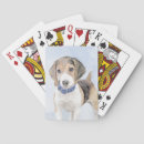 Zoek naar beagle speelkaarten Schattig