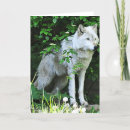 Zoek naar grijze wolf kaarten Natuur