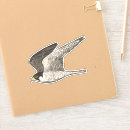 Zoek naar valken stickers Vogels