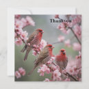 Zoek naar rood vink kaarten Vinken