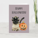 Zoek naar halloween kaarten Katten