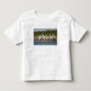 Zoek naar camargue kleding Groep