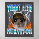 Zoek naar grappige hamsters posters Meme