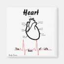 Zoek naar lichaamsdelen magneten Medisch