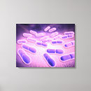 Zoek naar pathologie kunst Fysiologie