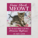 Zoek naar paarse kat briefkaarten Huisdieren