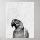 Zoek naar oerwoud vogels posters Ieder kind