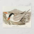 Zoek naar gould briefkaarten Natuur