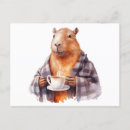 Zoek naar capybara briefkaarten Dierenvriend