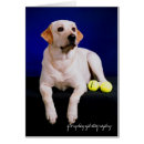 Zoek naar tennis fotografie Hond