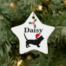 Zoek naar basset hound ornamenten Hond
