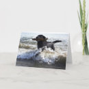 Zoek naar surf kaarten Strand