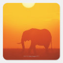 Zoek naar afrikaanse zonsondergang stickers Natuur