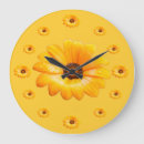 Zoek naar daisy klokken Natuur