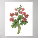 Zoek naar primula posters Flora