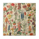 Zoek naar molen tegels Natuur