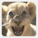 Zoek naar agressie stickers Horizontaal